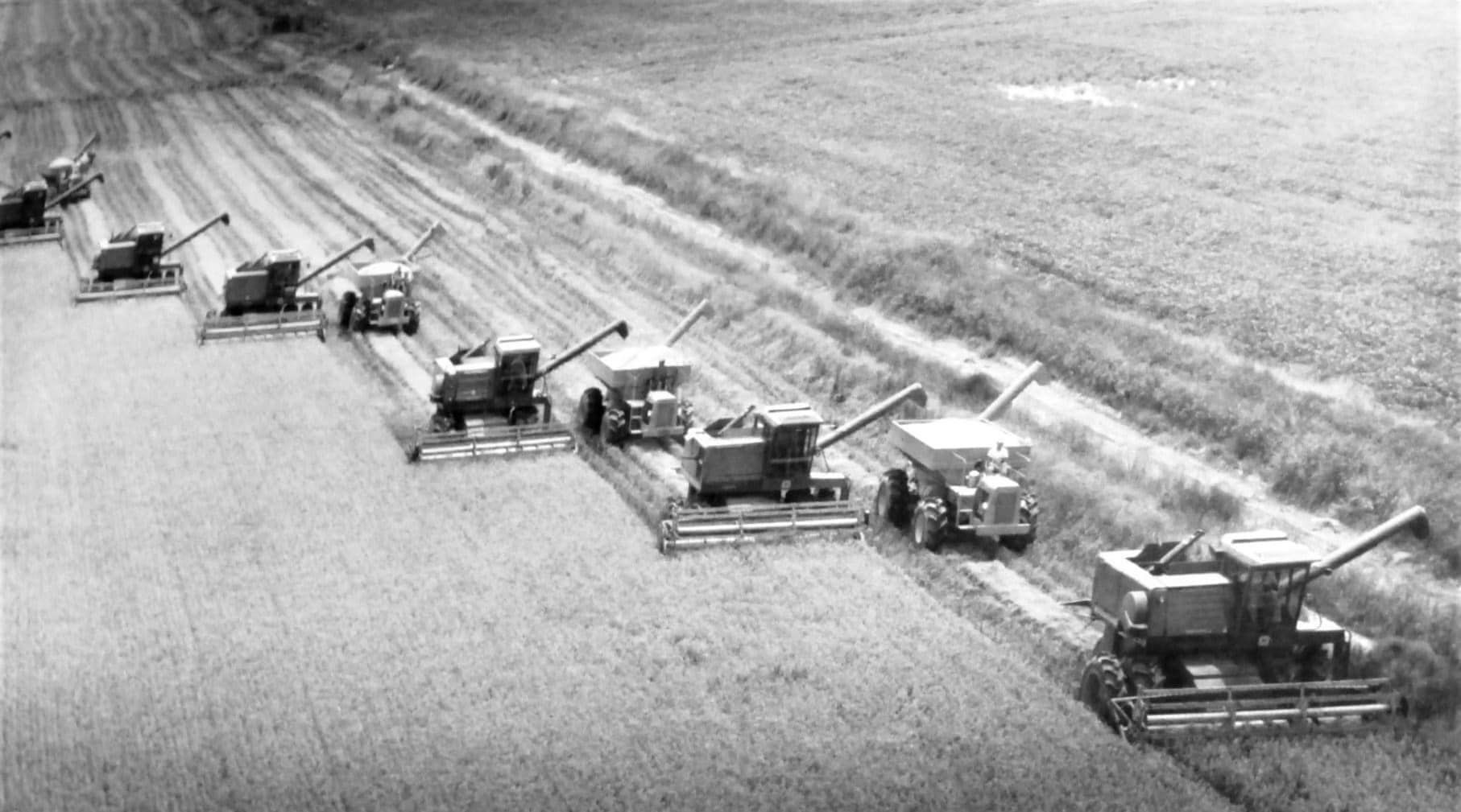 Machines on Rice Field