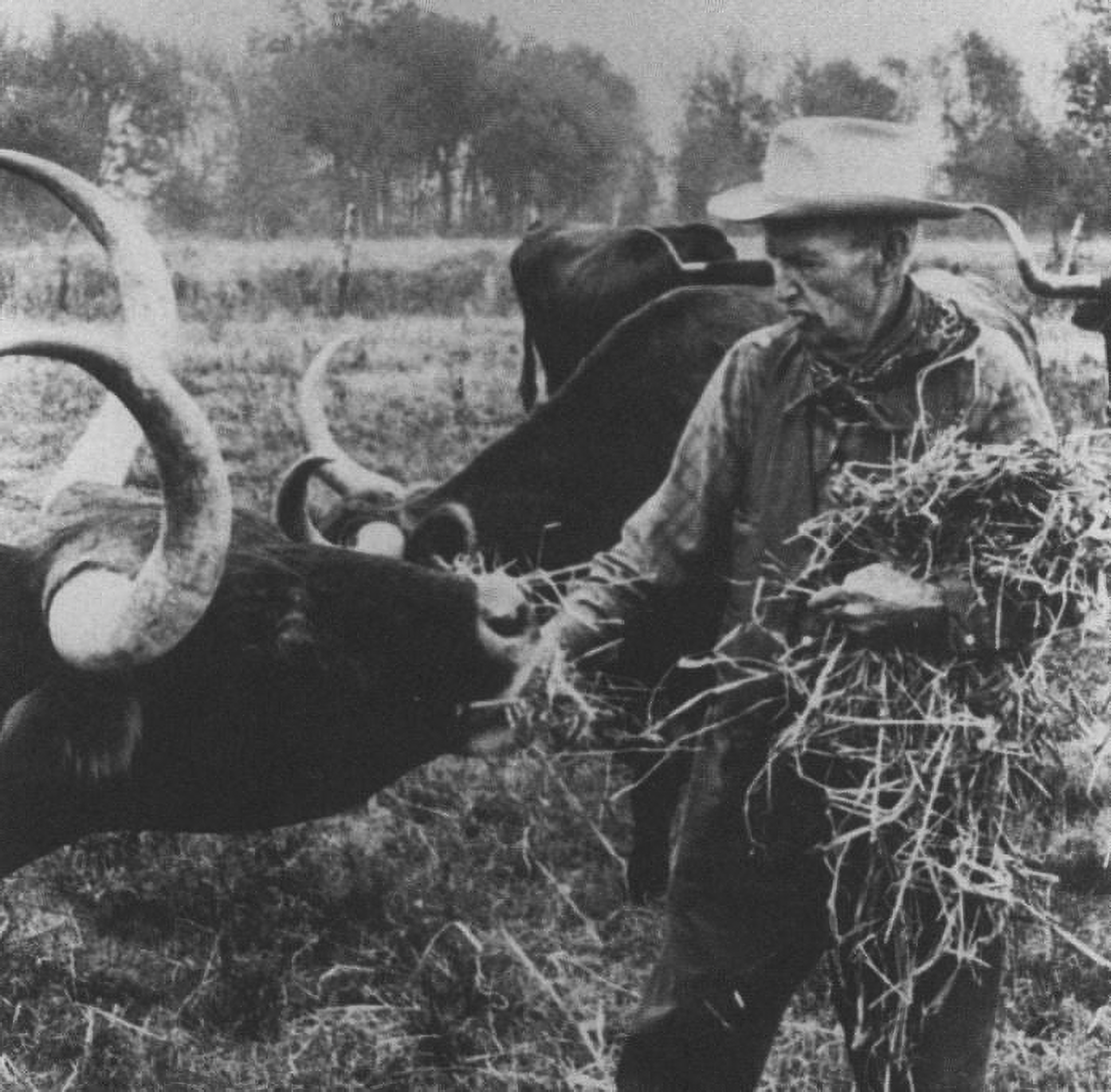 Feeding Time at LH7 Ranch